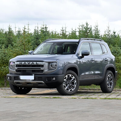 Quality  5 Seaters Haval Dargo Bigdog H6s Big Space Gasoline Car With Electric Steering System factory