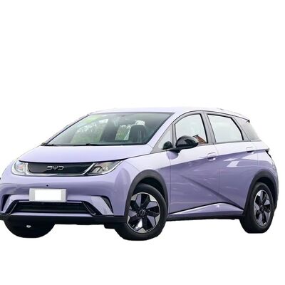 2024 BYD Dolphin Electric Vehicle With 420km Range