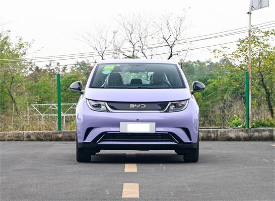 2024 BYD Dolphin Electric Vehicle With 420km Range