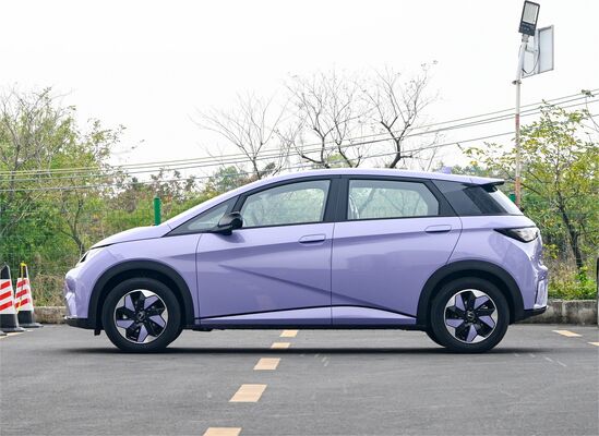 2024 BYD Dolphin Electric Vehicle With 420km Range