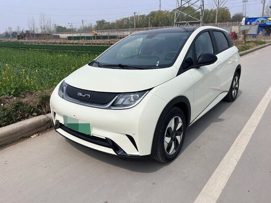 2024 BYD Dolphin Electric Vehicle With 420km Range